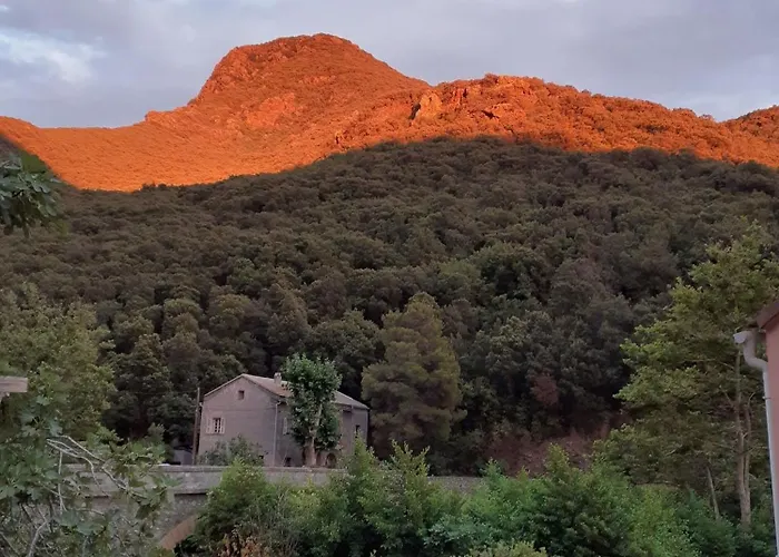 Holiday home Cap Corse - Maison A 500m De La - Entier