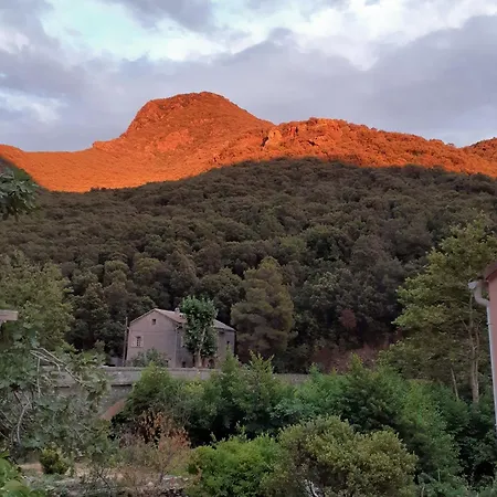 Holiday home Cap Corse - Maison A 500m De La - Entier