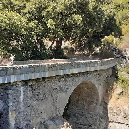 Cap Corse - Maison A 500m De La - Entier Semesterbostad