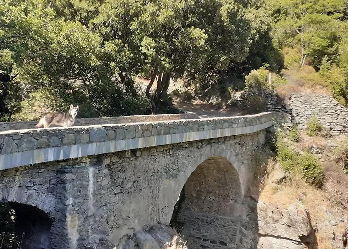 Cap Corse - Maison A 500m De La - Entier 別荘